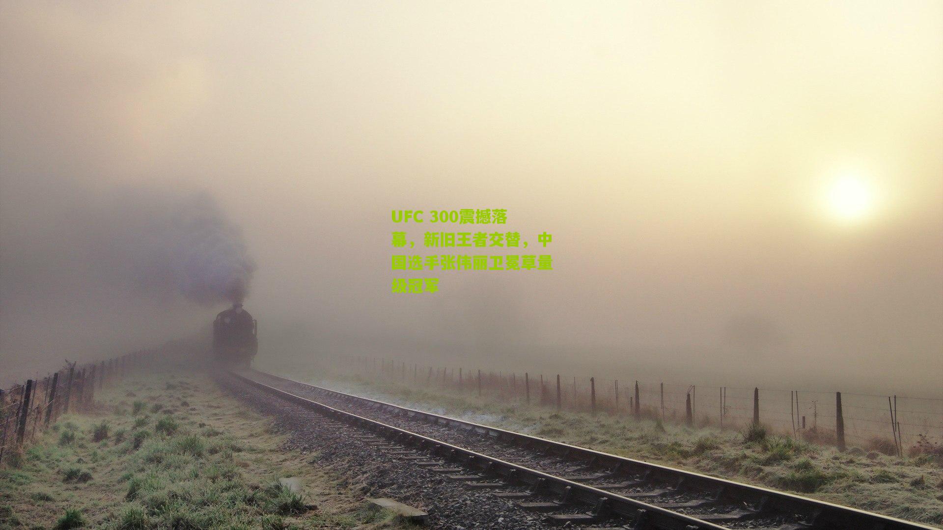 UFC 300震撼落幕,新旧王者交替,中国选手张伟丽卫冕草量级冠军