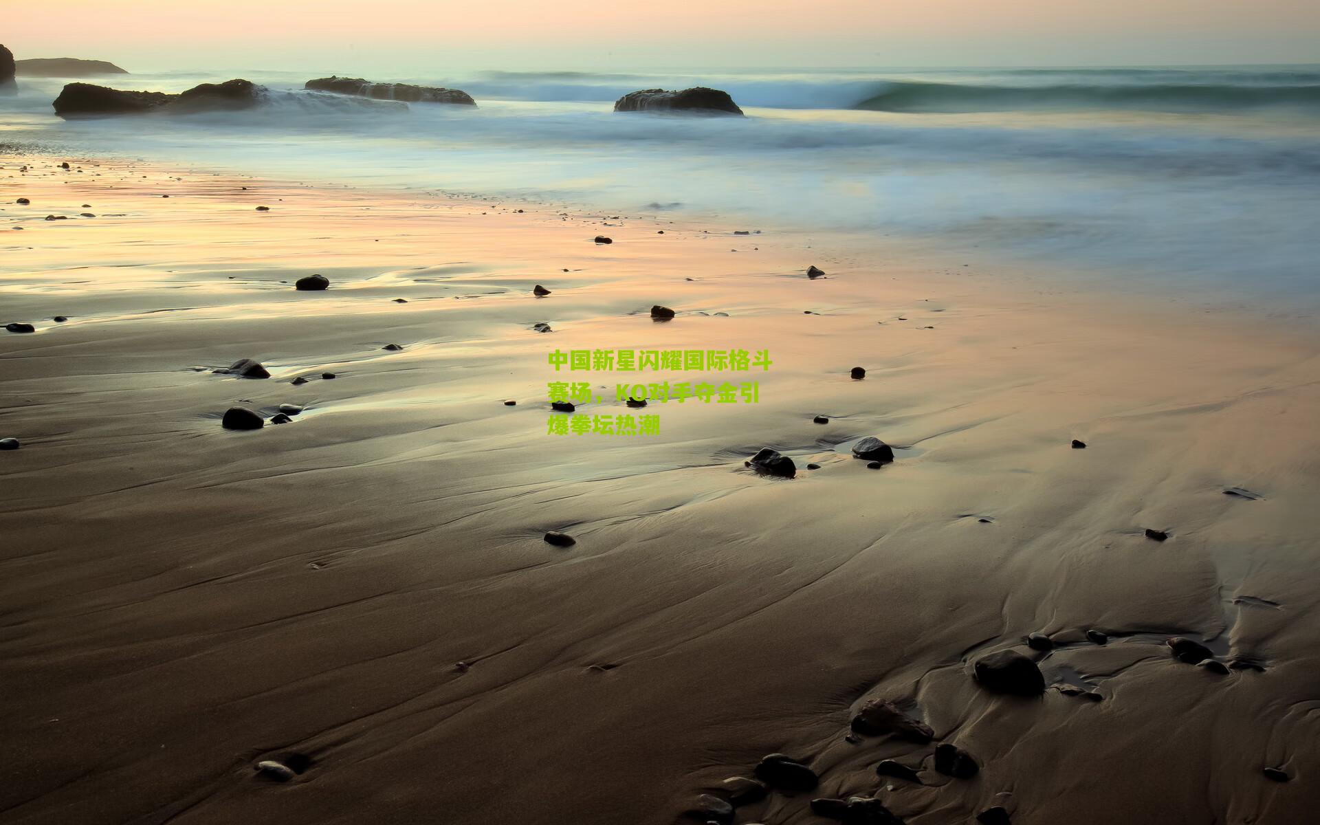 中国新星闪耀国际格斗赛场,KO对手夺金引爆拳坛热潮