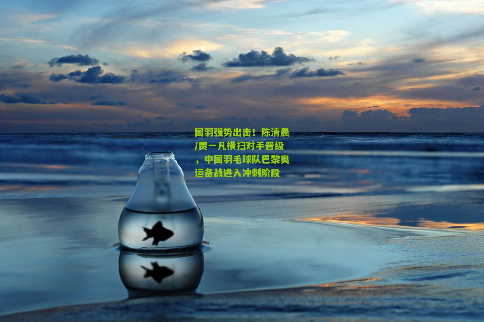 国羽强势出击！陈清晨/贾一凡横扫对手晋级，中国羽毛球队巴黎奥运备战进入冲刺阶段