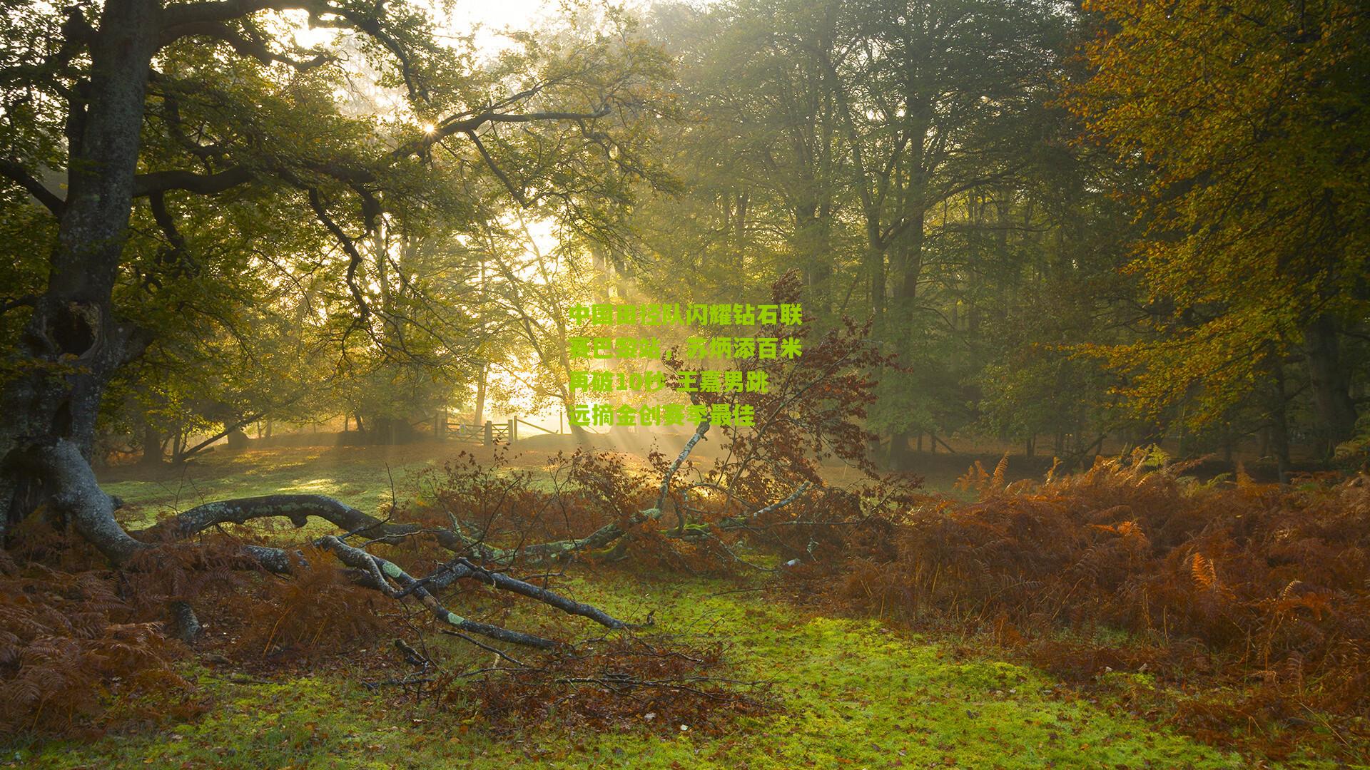 中国田径队闪耀钻石联赛巴黎站，苏炳添百米再破10秒 王嘉男跳远摘金创赛季最佳