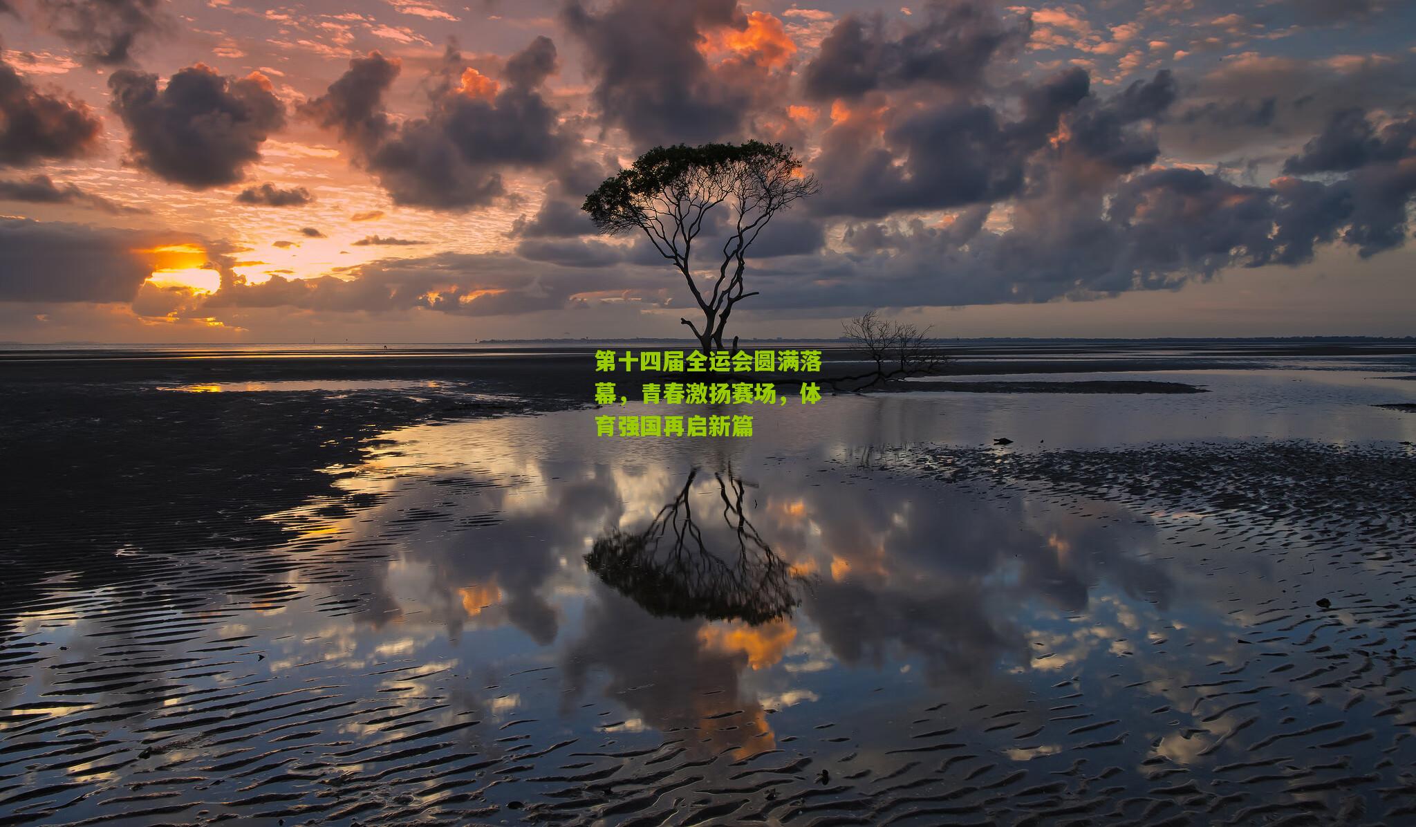 第十四届全运会圆满落幕,青春激扬赛场,体育强国再启新篇