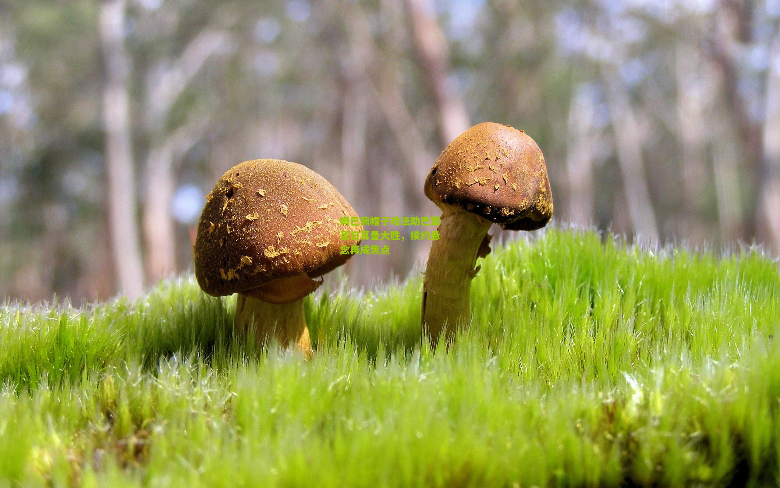 姆巴佩帽子戏法助巴黎圣日耳曼大胜,续约悬念再成焦点