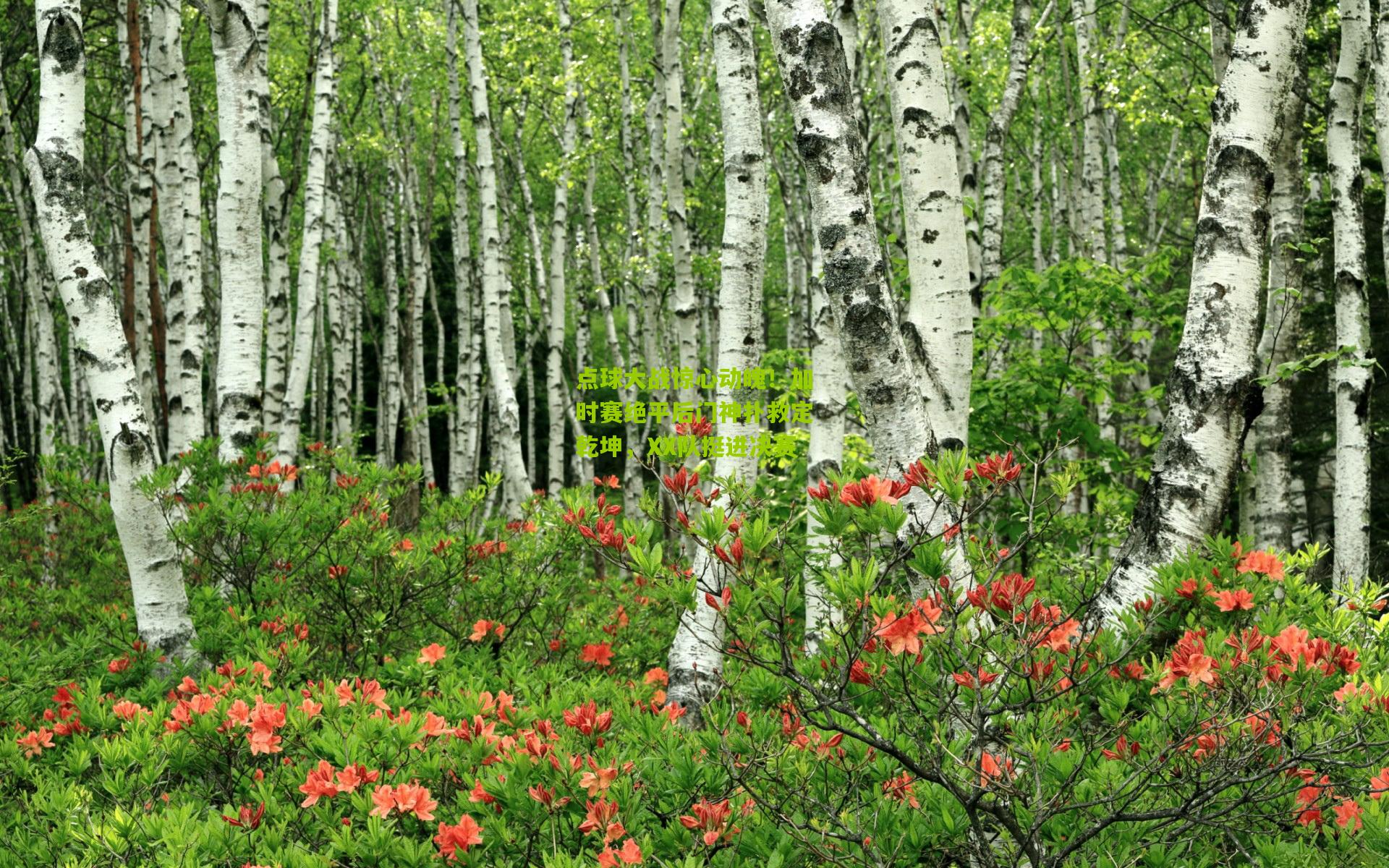点球大战惊心动魄！加时赛绝平后门神扑救定乾坤，XX队挺进决赛