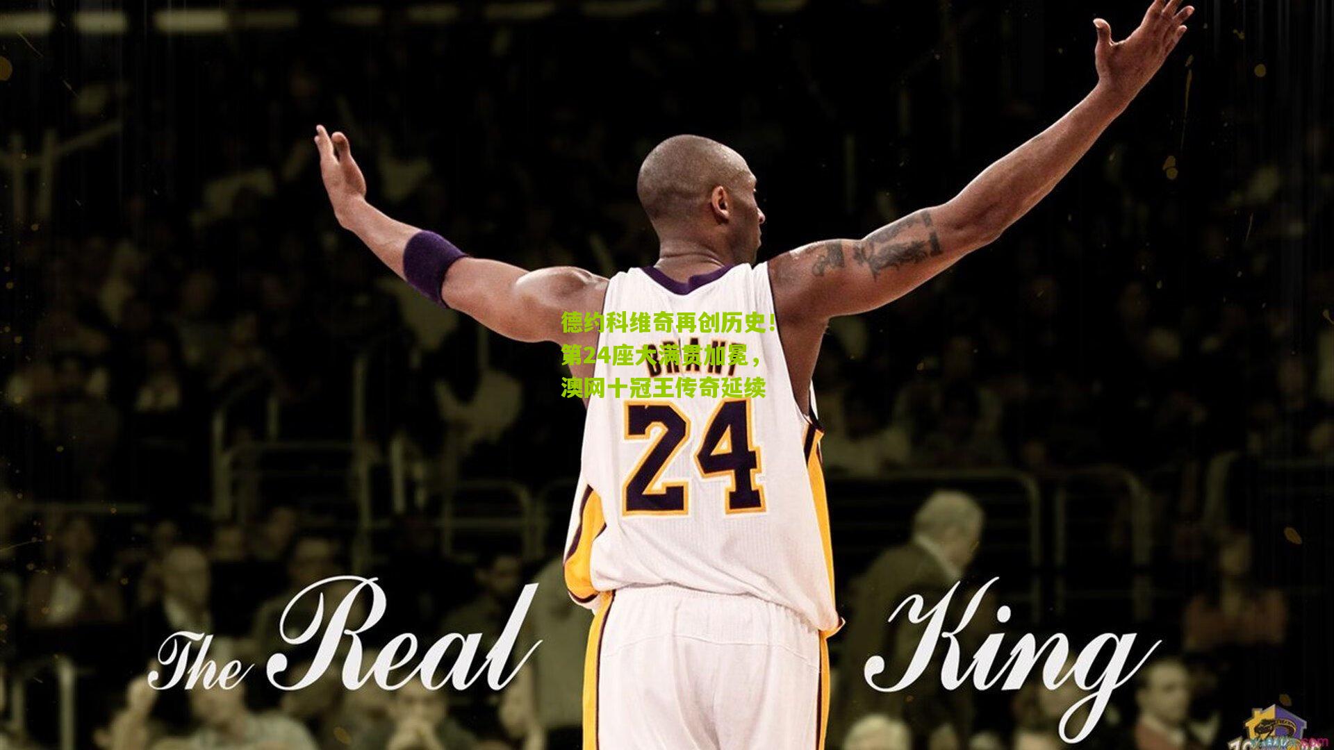 德约科维奇再创历史!第24座大满贯加冕,澳网十冠王传奇延续