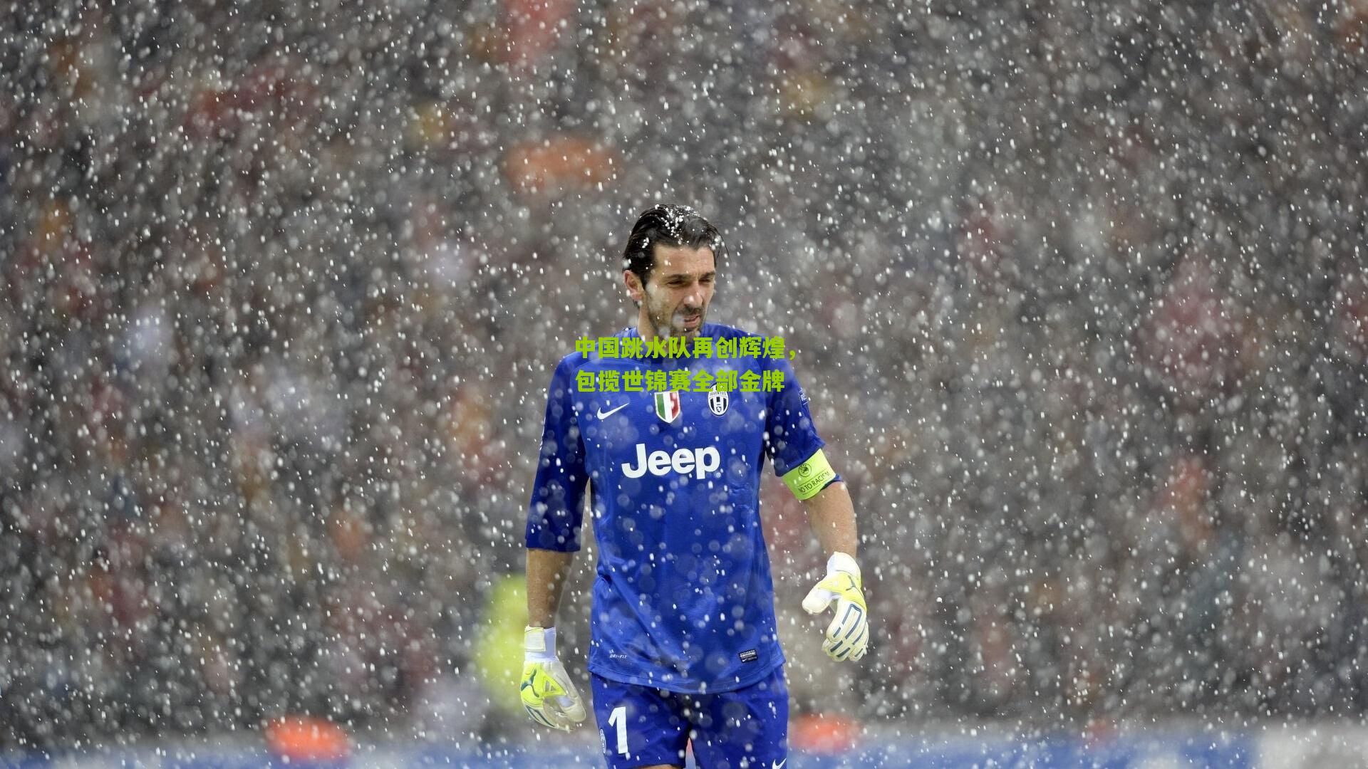 中国跳水队再创辉煌,包揽世锦赛全部金牌